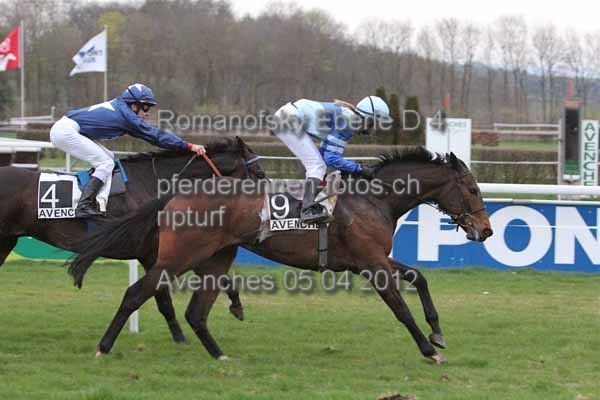 Romanofsky Eberle D 4 prot